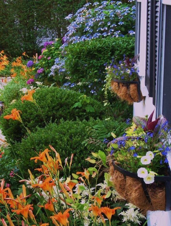 The 1720 House Bed and Breakfast Vineyard Haven Buitenkant foto