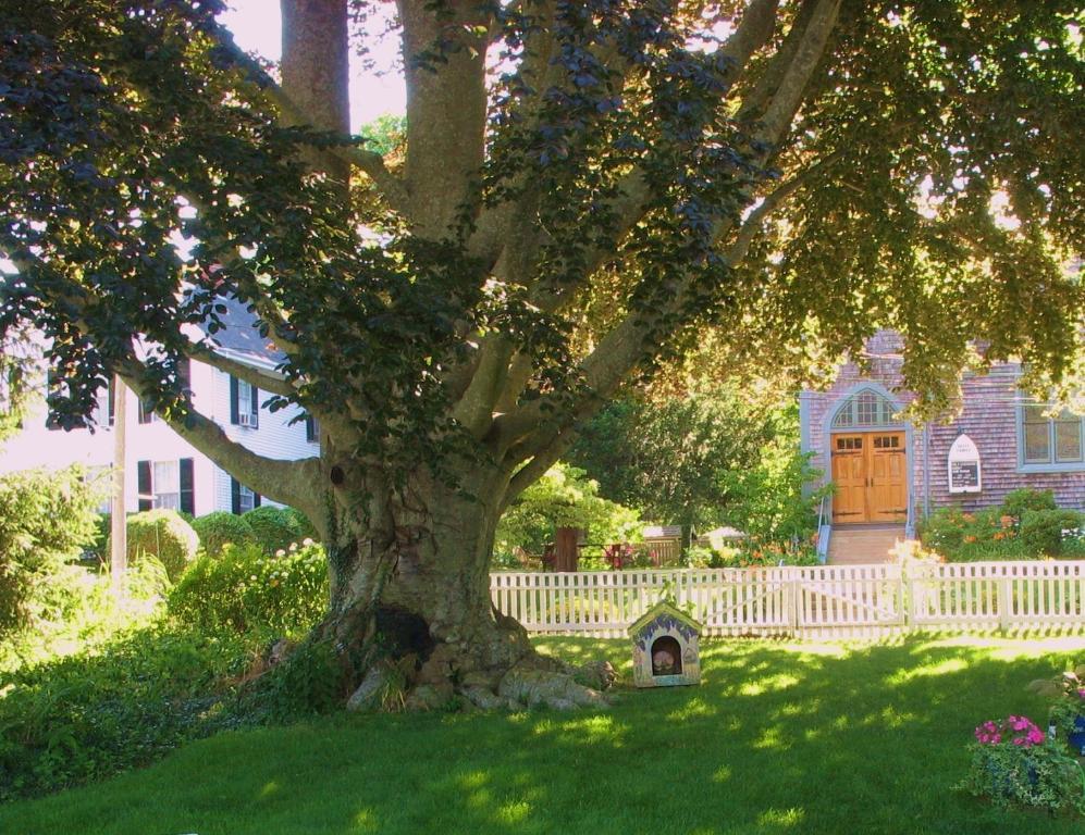 The 1720 House Bed and Breakfast Vineyard Haven Buitenkant foto