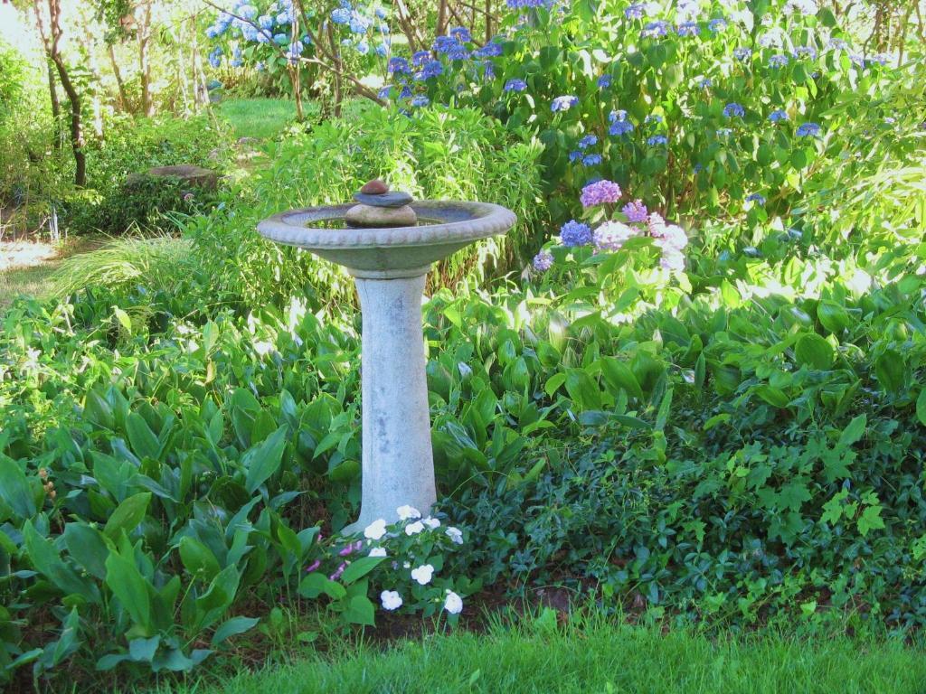 The 1720 House Bed and Breakfast Vineyard Haven Buitenkant foto